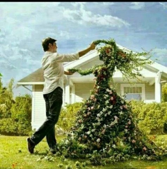 Meet your Posher, Elsie - Picture 1 of 1